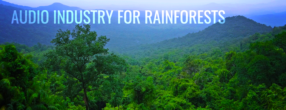 yb-ksp-scripting_featured-image-rain-forrest
